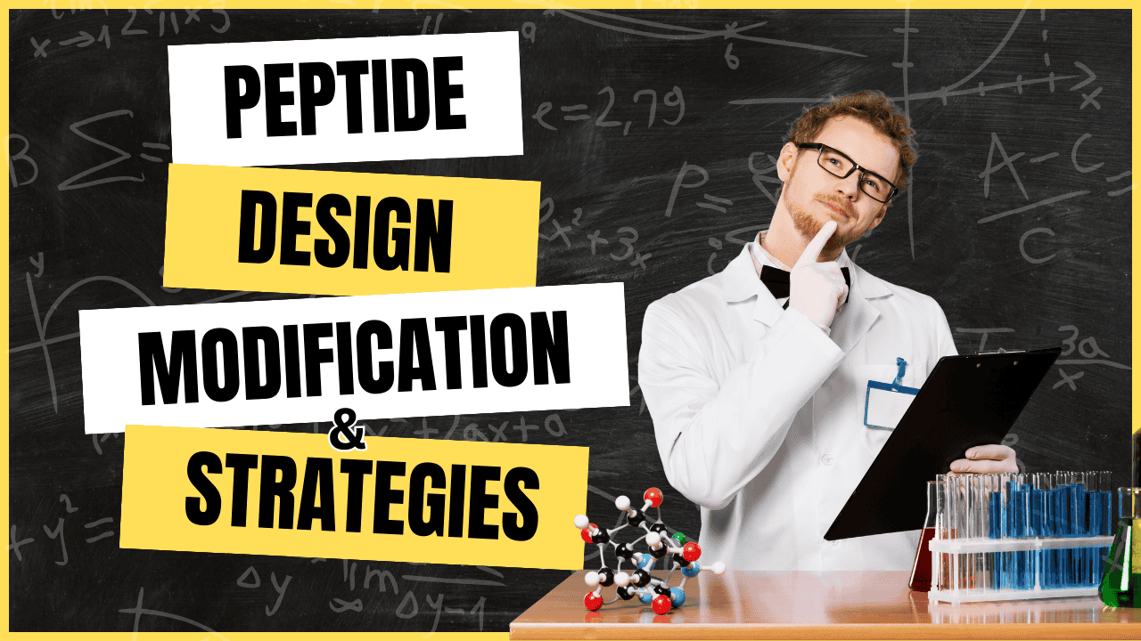 Scientist considering peptide design, modification, and strategies with lab equipment and molecular model.