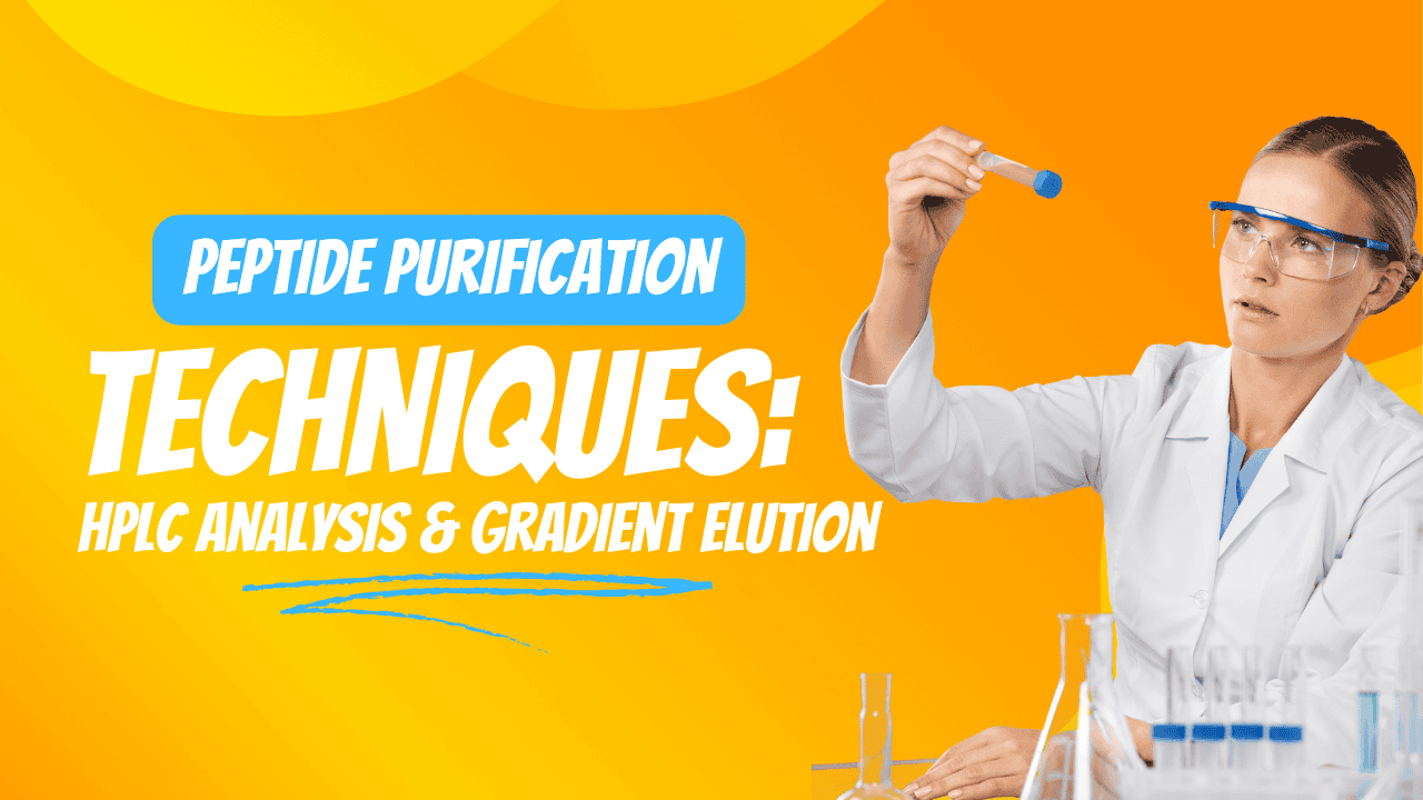 Scientist demonstrating peptide purification techniques using HPLC analysis and gradient elution.