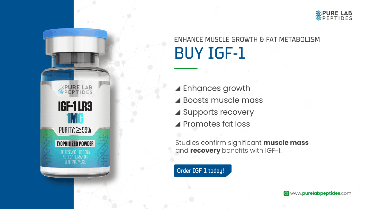 IGF-1 LR3 peptide for muscle growth and fat metabolism by Pure Lab Peptides.