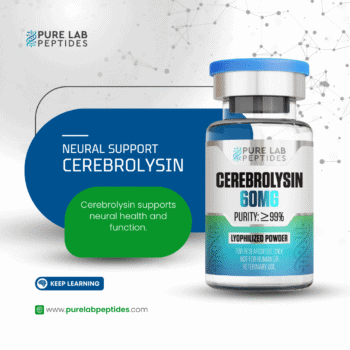Pure Lab Peptides Cerebrolysin 60 mg vial, clear glass with blue cap, lyophilized powder for research use only