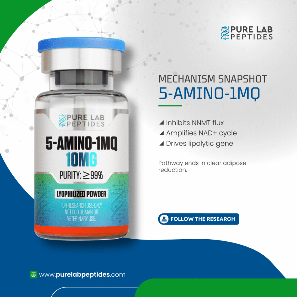 Pure Lab Peptides 5-Amino-1MQ 10 mg lyophilized powder vial with blue cap, research use only