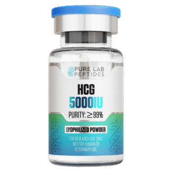A glass vial labeled 'HCG 5000IU' with a blue cap, indicating a purity of at least 99%. The vial contains lyophilized powder and has a warning that it is for research use only, not for human or veterinary use.