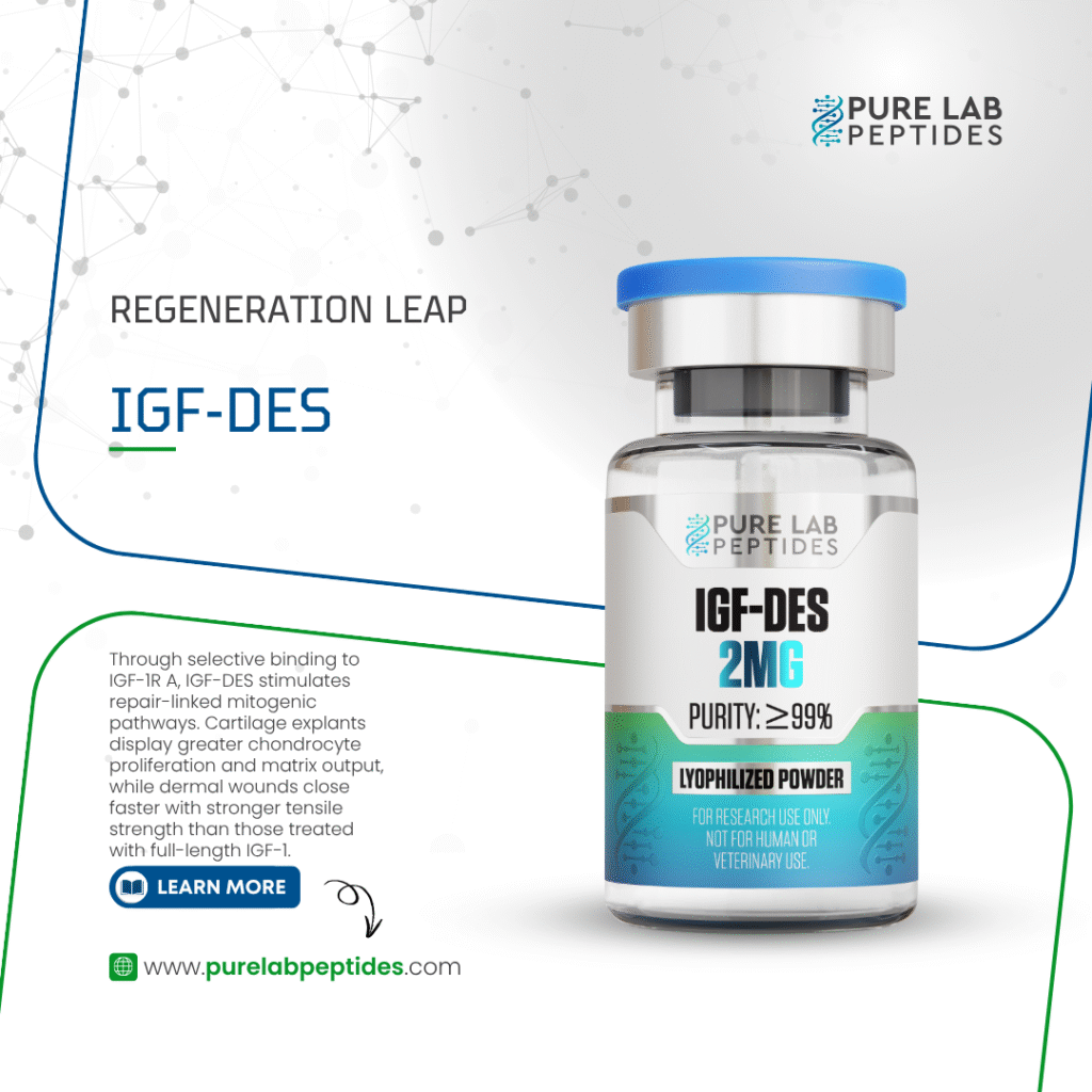 A promotional image for IGF-DES by Pure Lab Peptides, featuring a clear vial labeled 'IGF-DES 2MG' and details about its purity (>99%). The background includes abstract patterns and text emphasizing its regenerative properties. The image encourages users to learn more at the website www.purelabbpeptides.com.