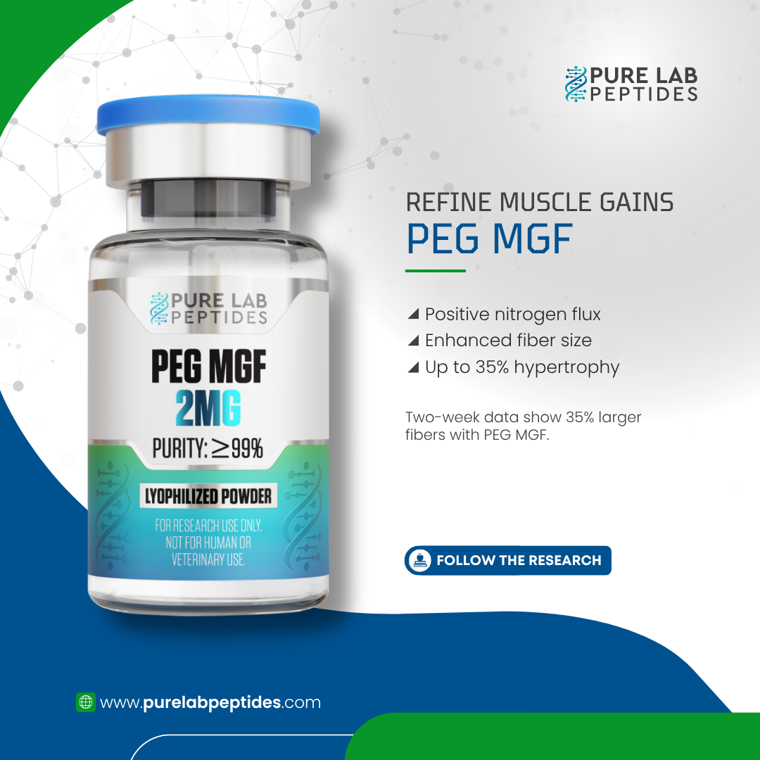A labeled vial of PEG MGF from Pure Lab Peptides, showcasing a purity of over 99% and containing 2 mg of lyophilized powder. The promotional text highlights its benefits, including positive nitrogen flux, enhanced fiber size, and up to 35% hypertrophy, with additional notes on research findings regarding fiber size increase.