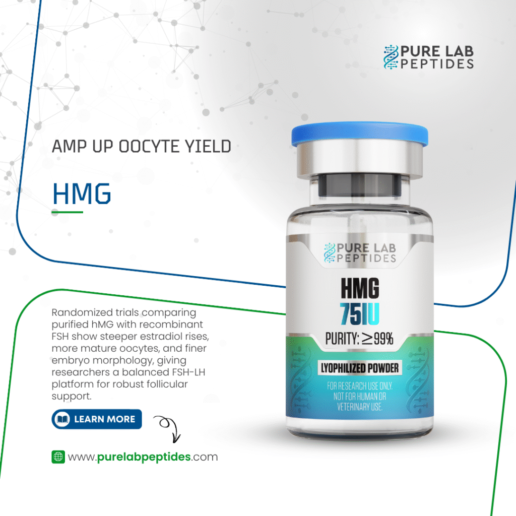 A labeled vial of HMG (Human Menopausal Gonadotropin) 75 IU with a blue cap, showcasing its purity of 99% and emphasizing its use for research purposes. The background features a modern design with scientific motifs and text about its efficacy in enhancing oocyte yield and follicular support. A website link is also included at the bottom for more information.