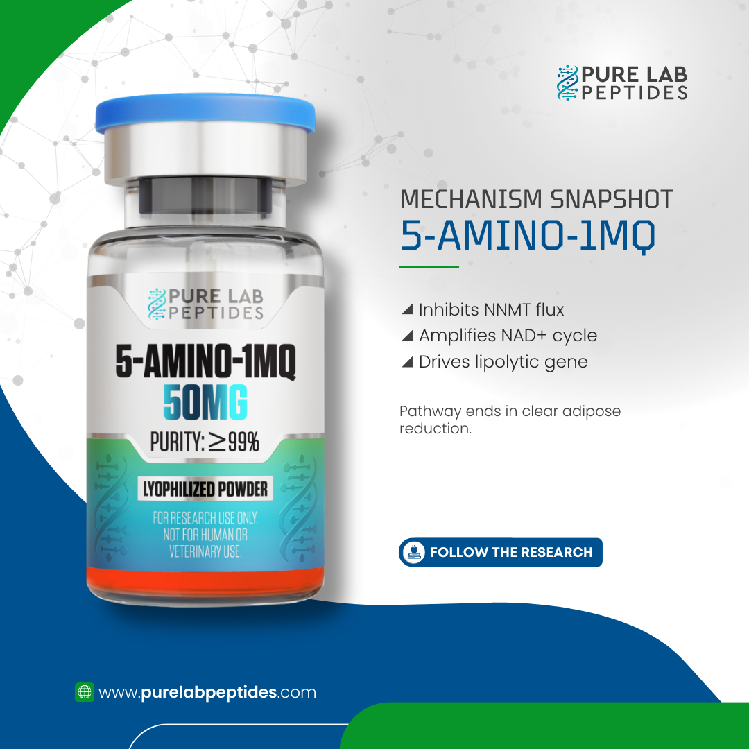 5-Amino_1MQ_50mg_9 A labeled vial of 5-Amino-1MQ, containing 50mg and with a purity of over 99%, displayed against a blue, green, and white background, with additional text outlining its mechanism of action, including inhibiting NMNT flux, amplifying the NAD+ cycle, and driving the lipolytic gene, emphasizing its role in adipose reduction. A 'FOR RESEARCH USE ONLY' disclaimer is present, along with a website link for further information.