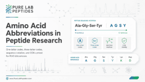 Amino Acid Abbreviations in Peptide Research