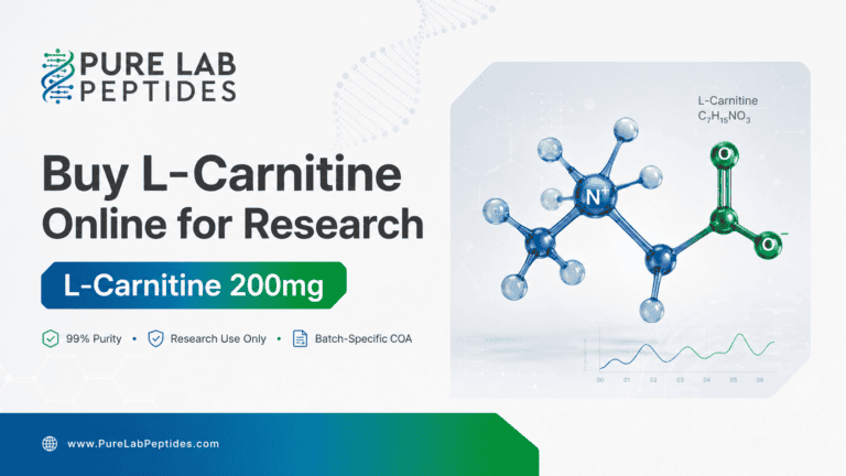 Buy L-Carnitine Online for Research | RUO COA Guide