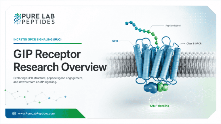 GIP Receptor Research Overview: Incretin GPCR Signaling (RUO)