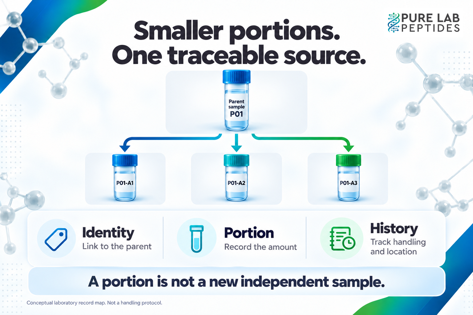 Conceptual diagram connecting three labeled aliquots to one parent preparation, with identity, portion and history records; smaller portions do not create independent biological samples.