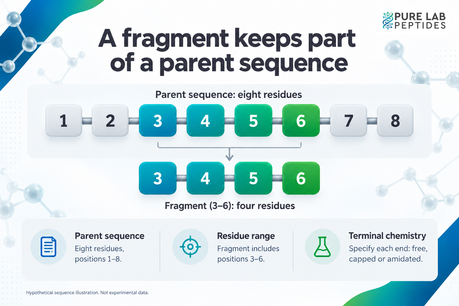 Conceptual diagram selecting residues 3 through 6 from an eight-residue parent sequence, leaving a four-residue fragment; parent numbering and terminal chemistry are documented separately.